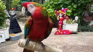 Foto ilustrativa: Abraham Cohuó