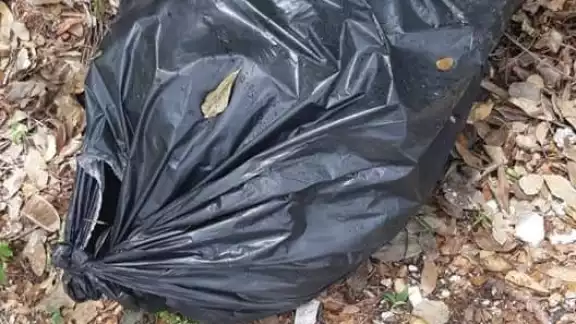 Graban en video el momento justo en el que un individuo arroja bolsas con animales muertos Graban en video el momento justo en el que un individuo arroja bolsas con animales muertos