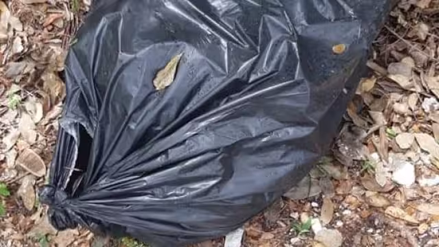 Graban en video el momento justo en el que un individuo arroja bolsas con animales muertos