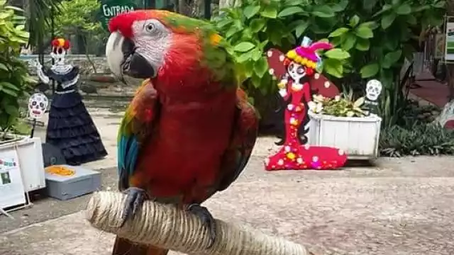 Foto ilustrativa: Abraham Cohuó