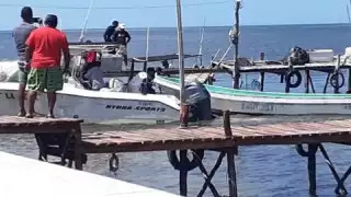 Sorprenden a pescadores foráneos depredando pepino de mar y pulpo en Dzilam de Bravo