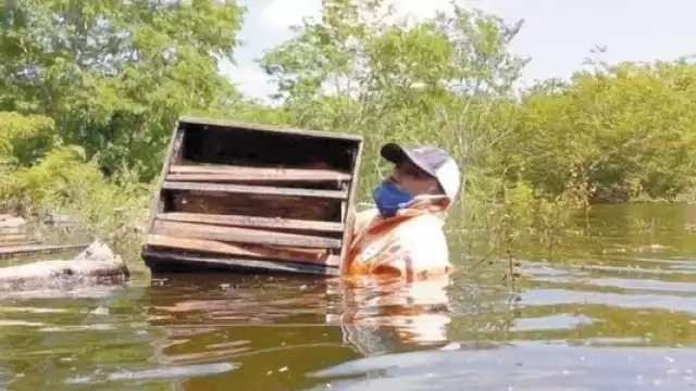 Las inundaciones causaron que productores pierdan sus cosechas del año.