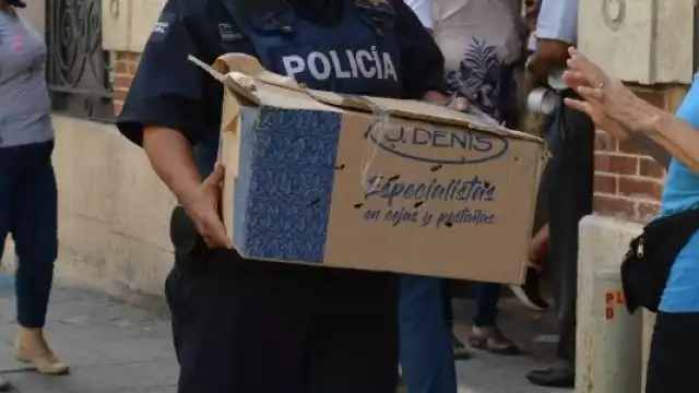 La zarigueya fue asegurada por elementos de la Policía Municipal