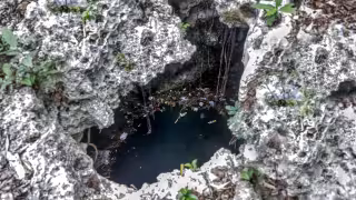 Alerta por contaminación: hasta 80% de los cenotes urbanos del norte de Quintana Roo están en riesgo