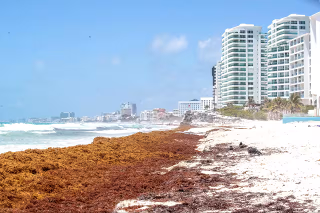 Atienden la contingencia con dos buques interoceánicos, dos anfibias y 12 navíos menores