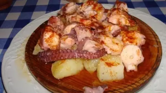 El pasado 1 de agosto inició la temporada de pulpo en Yucatán El pasado 1 de agosto inició la temporada de pulpo en Yucatán