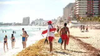 Recale de sargazo podría superar este 2026 las cifras históricas: USF