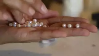 La granja de perlas de la familia Caamaño en Cozumel inició a principios del nuevo milenio y un huracán estuvo a punto de alejarlos de la isla