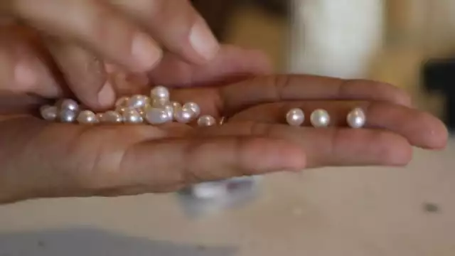 La granja de perlas de la familia Caamaño en Cozumel inició a principios del nuevo milenio y un huracán estuvo a punto de alejarlos de la isla