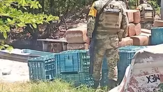 Durante el operativo se detuvo a seis personas que se encontraban escondidas en un predio