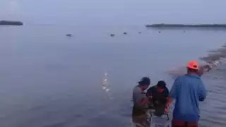 La falta del líquido afectó a los más de 2 mil habitantes de este destino turístico