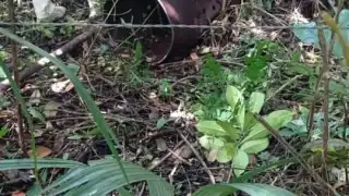 Durante el operativo, se logró ubicar un tambo de metal en el que se encontraban varios restos óseos