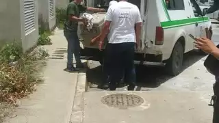 Oficiales del agrupamiento GEAVI de la Policía de Cancún, rescataron a un adulto mayor