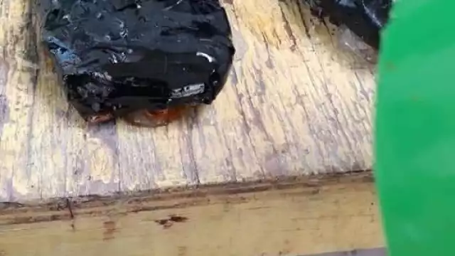 Elementos policiales del Cereso procedieron a asegurar el recipiente junto a la licencia de conducir