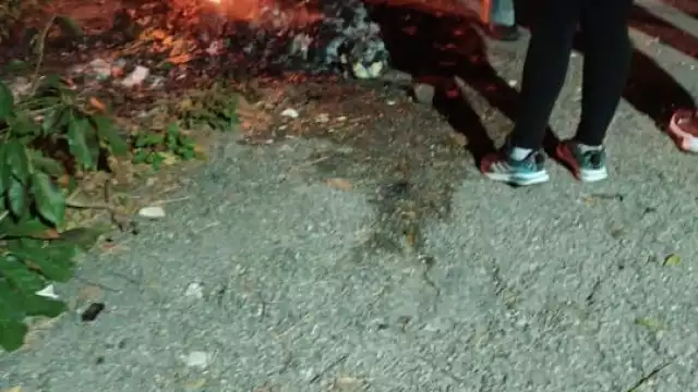 Vecinos aseguran que sería mejor que la mujer fuera detenida y sea canalizada a un centro médico psiquiátrico