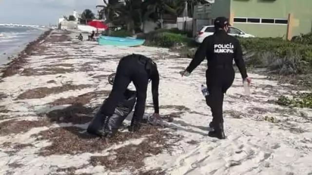 Foto: Alejandro Colli 