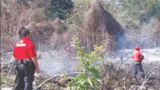 Alrededor de tres mil litros de agua utilizaron bomberos para sofocar el incendio de maleza