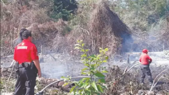 Alrededor de tres mil litros de agua utilizaron bomberos para sofocar el incendio de maleza Alrededor de tres mil litros de agua utilizaron bomberos para sofocar el incendio de maleza