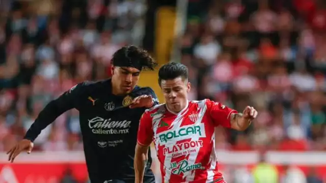 El Rebaño es electrocutado