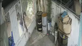 Mediante una grabación de una cámara de seguridad, el propietario de la casa exhibió a un hombre quien le robo a su mascota