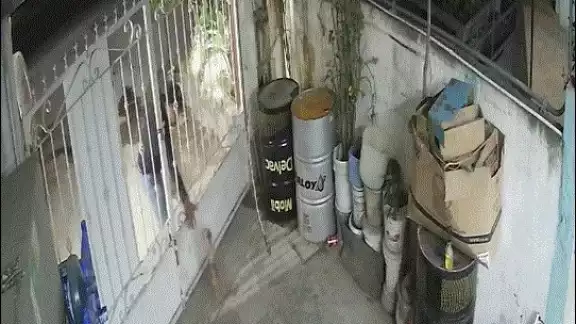 Mediante una grabación de una cámara de seguridad, el propietario de la casa exhibió a un hombre quien le robo a su mascota Mediante una grabación de una cámara de seguridad, el propietario de la casa exhibió a un hombre quien le robo a su mascota
