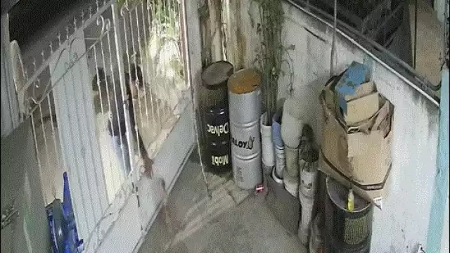 Mediante una grabación de una cámara de seguridad, el propietario de la casa exhibió a un hombre quien le robo a su mascota