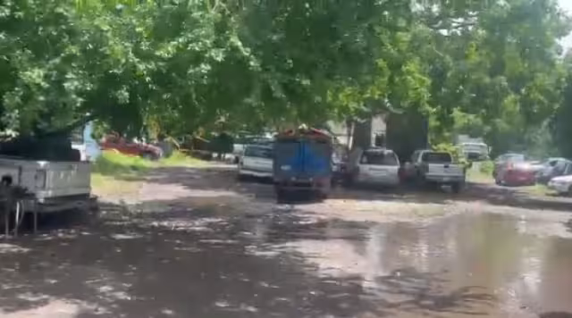 Fue durante el simulacro nacional cuando se registró un sismo con epicentro en Michoacán