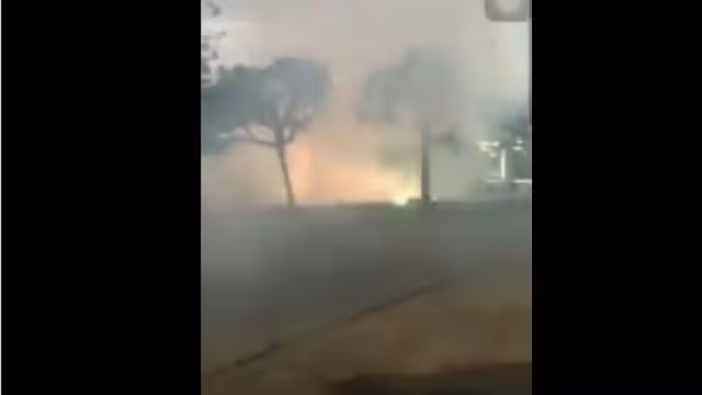 Foto: Captura de pantalla