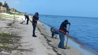 Elementos de la SSY trabajan en el monitoreo de la marea roja. Foto: Cortesía