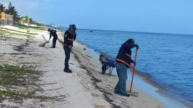 Elementos de la SSY trabajan en el monitoreo de la marea roja. Foto: Cortesía