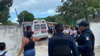 Enjambre de abejas ataca a 20 niños y adultos en escuela primaria de Cancún