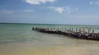 Alertan por erosión en playas de Yucatán: algunas han perdido hasta 100 metros en cuatro décadas