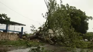 Inicia la Temporada de Huracanes 2024 en el Atlántico; se prevé que cinco sean ‘monstruosos’ 