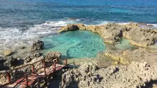Una belleza natural en Isla Mujeres