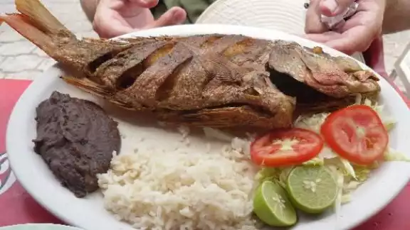 Pescado frito una ricura del sureste Pescado frito una ricura del sureste