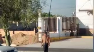 Foto: Facebook Rescate Animal Hermosillo