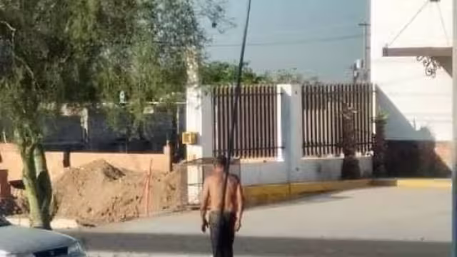 Foto: Facebook Rescate Animal Hermosillo