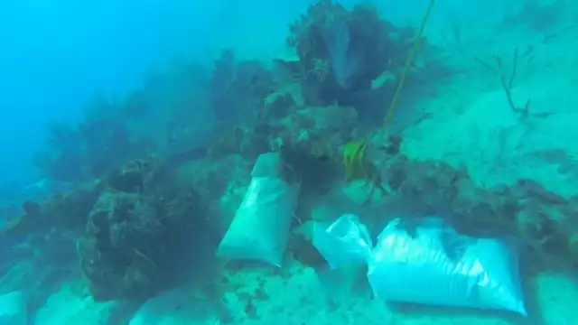 El INAH ha reconocido el daño a la reserva