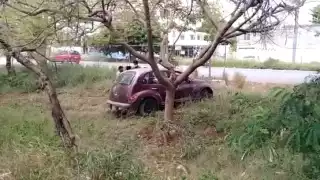 Foto: Fernando Poo H.