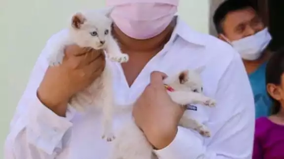Pili Santos asegura que es urgente procurar el cuidado pleno de nuestros animales Pili Santos asegura que es urgente procurar el cuidado pleno de nuestros animales