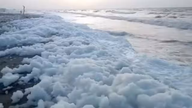 Un factor que contribuye a la aparición de espuma son los contaminantes orgánicos que los ríos vierten al mar,