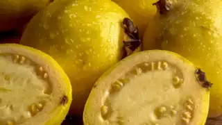 La guayaba es un fruto que se da en casi todo México aunque en Quintana Roo tiene una fuerte importancia por el clima tropical