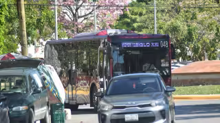 ¿Tomas el Ko’ox? ARTEC habilita 5 paraderos temporales por cierres viales de las ferias de Campeche