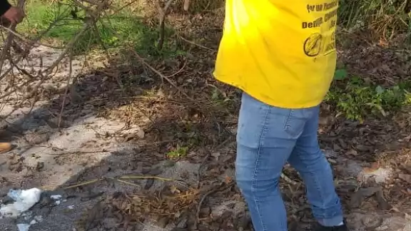 Este domingo concluyo la Jornada de Limpieza en toda la ciudad.