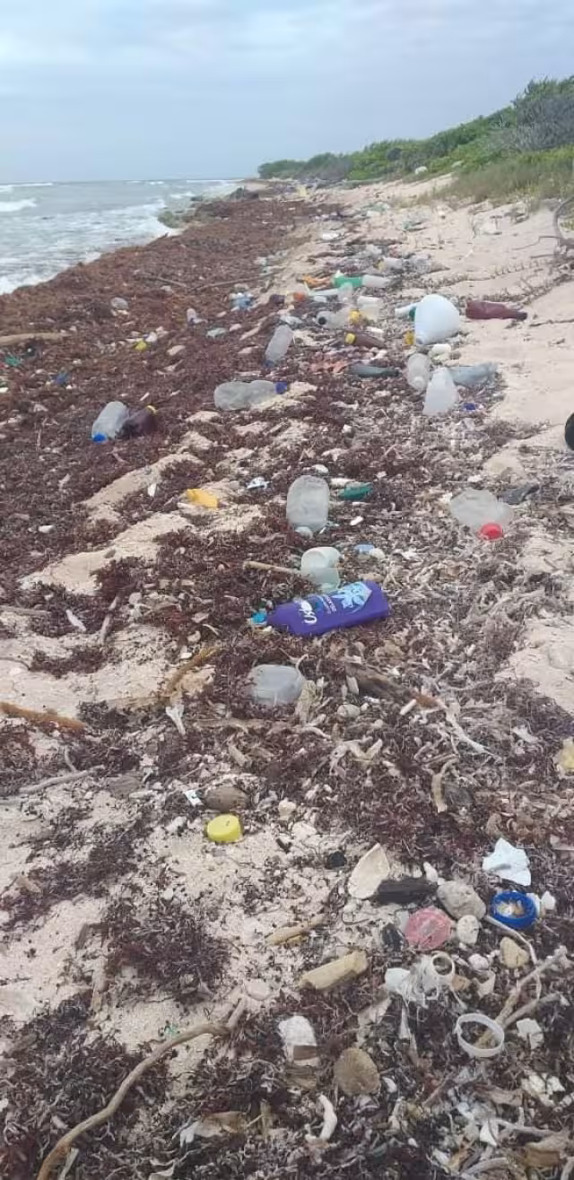 La acumulación de basura en playas de Mahahual es mucha