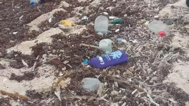 Mahahual se convierte en basurero internacional; es un riesgo para miles de especies