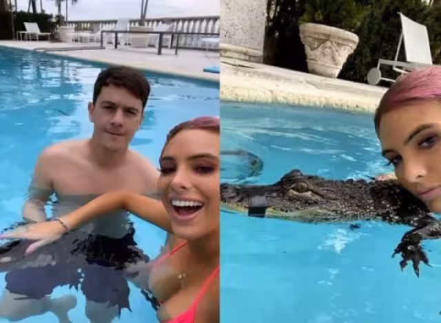 Lele Pons posa con cocodrilo y la acusan de maltrato animal