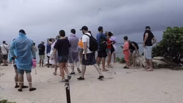 Los prestadores de servicios guiados laboran en los 50 puntos porcentuales