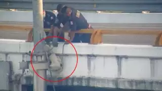 El rescate se logró realizar gracias al reporte de los ciudadanos yucatecos que lograron ver al perrito atrapado