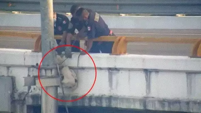 El rescate se logró realizar gracias al reporte de los ciudadanos yucatecos que lograron ver al perrito atrapado